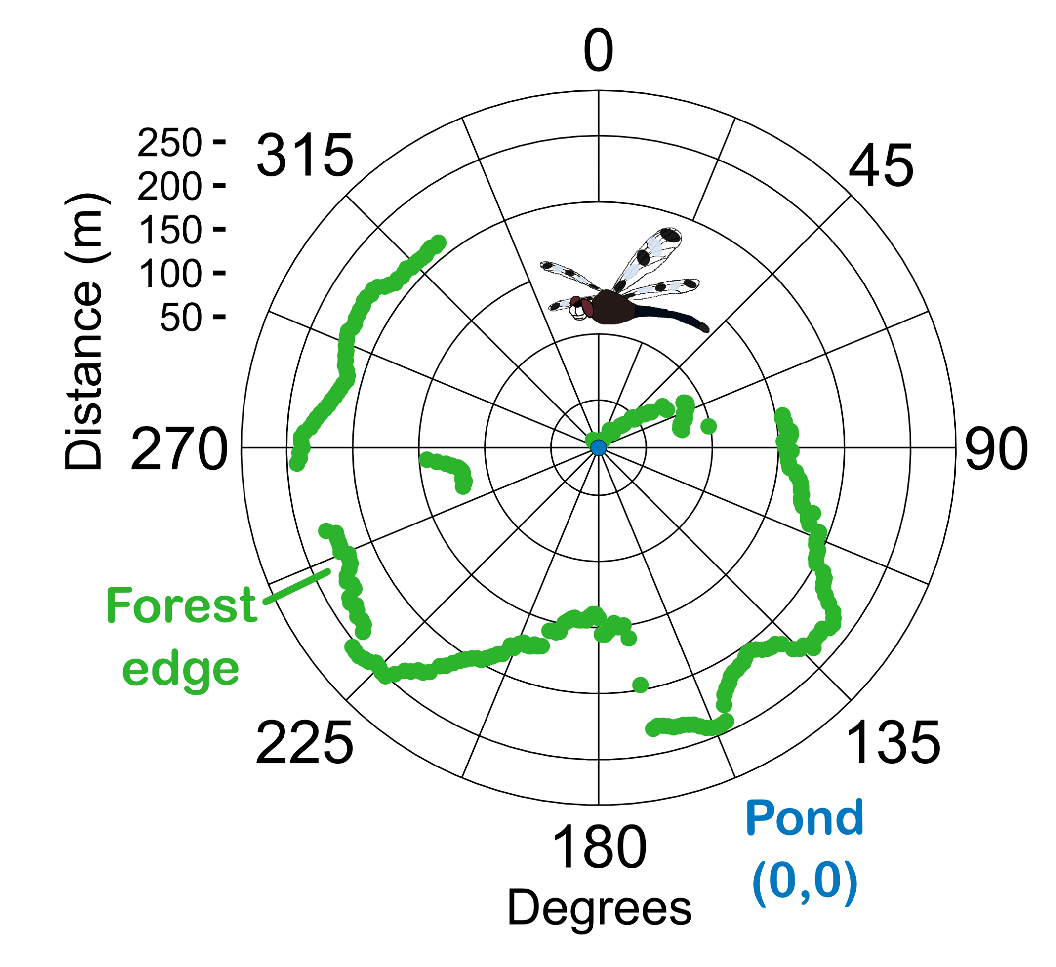Diagram of forest edge proximity at 360 degrees around a pond